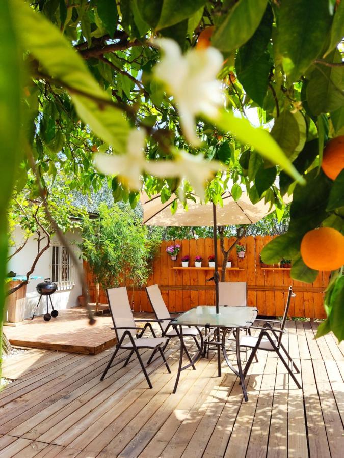 Apartamento El Grifo Carmona  Extérieur photo